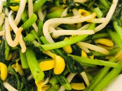 茼蒿炒豆芽-高佳庄·舟山海鲜(海景旗舰店)