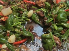 -食鸡公社辣子鸡·潍坊菜·烧烤