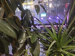 -798烧烤工厂(太和路店)
