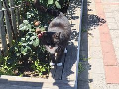 -一品渔乡·水库灶台鱼·乐享庭院