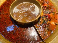 -哥老官重庆美蛙鱼头(日月光店)
