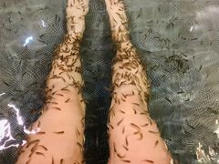 -中家鑫园温泉酒店鑫悦汤泉