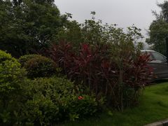 -美的鹭湖森林度假区