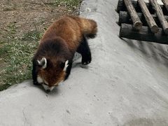 -鄂尔多斯野生动物园