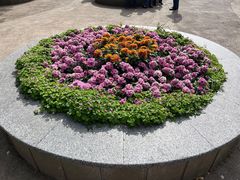 -上海共青森林公园