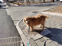 -宠福鑫康馨动物医院·骨科·眼科