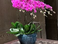 -福悦1077中餐厅(武汉光谷凯悦酒店)