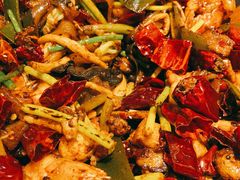 -食乐佳麻辣香锅(森林摩尔商业街区店)