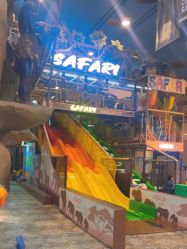-卡通尼·Safari非洲探索乐园·生日会(金桥国际商业广场店)