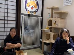 -逗柴咖啡屋·狗咖猫咖宠物桌游