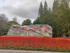 -东平国家森林公园