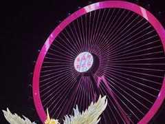 -海合安武汉极地海洋公园