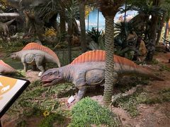 -湖南省地质博物馆