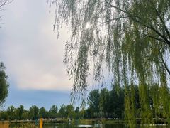 -东郊湿地公园
