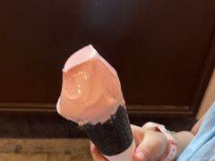 -麦丽丝红油辣椒冰淇淋(江家巷店)