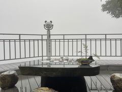 -大余丫山旅游度假区