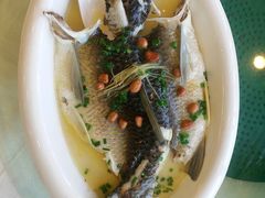 -清心鸡沙田乳鸽店·非遗传承(粤垦路店)