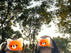 -养云安缦·廊