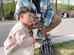 -羊山湖公园