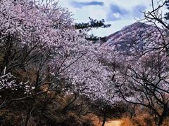 -龙泉峪长城