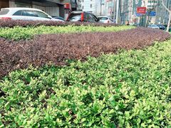 -上海锦江汤臣洲际大酒店壹阶层