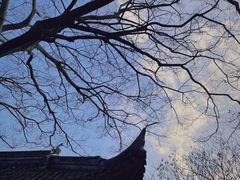 -上海佘山国家森林公园天马山园