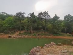 -南京市无想山景区