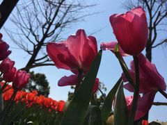 -大宁灵石公园西门票处