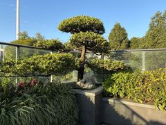 -外滩·云南人家(昆明旗舰店)