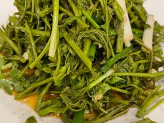 高山木兰芽-百瑞谷饭庄