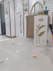 -镁连社·美联社
