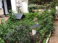 -海边的猫和咖啡馆