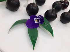 -食神鱼头佛跳墙(百子湾旗舰店)