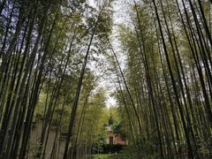 -石塘人家