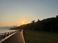 -野狸岛