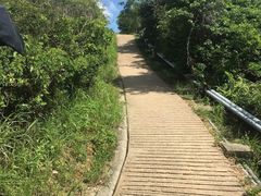 -南丫岛
