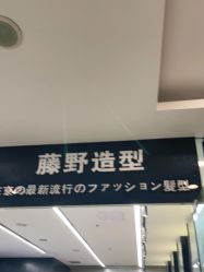 点击看大图 -藤野造型