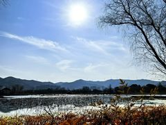 -长兴太湖图影湿地文化园