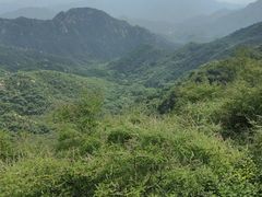 -大岭沟猕猴桃谷风景区