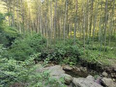 -陶祖圣境风景区