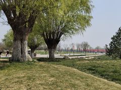 -汉长安城未央宫国家考古遗址公园