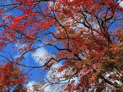 -三千院