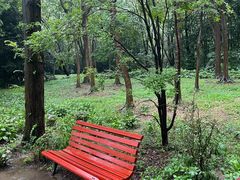 -上海滨江森林公园