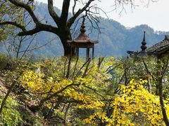 -武当山风景区