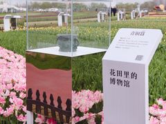 -荷兰花海