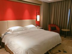 -南京维景国际大酒店(南京博物院店)