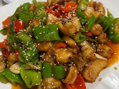 -煲来饱去冷水鱼