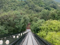 -黄金寨原生态旅游区