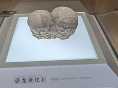 -信阳博物馆