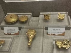 -烟台自然博物馆